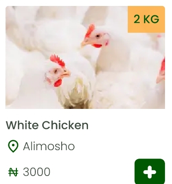 image not found