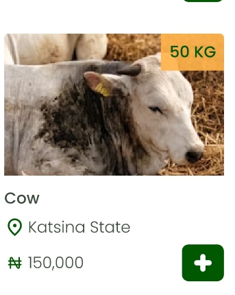 image not found